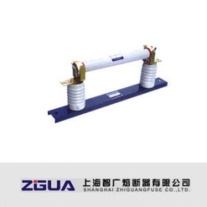 上海智广/RN3系列/户内高压限流熔断器