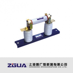 上海智广/RN2系列/户内高压限流熔断器