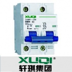 轩琪电气/TXQB1-100系列/小型断路器
