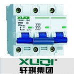 轩琪电气/TXQB1-100系列/小型断路器