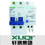 轩琪电气/TXQB1L-100系列/小型漏电断路器