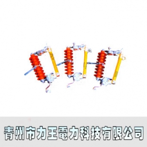 力王电力/HPRW11-10系列/复合绝缘跌落式熔断器