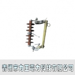 力王电力/HPRW10-10系列/复合绝缘跌落式熔断器
