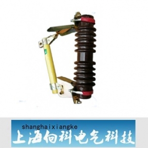 向科电气/RW11系列/户外跌落式熔断器