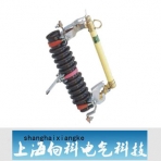 向科电气/RW7系列/户外跌落式熔断器