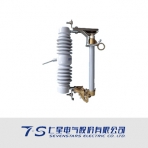 七星电气/SSOC系列/10KV户外跌落式熔断器（单喷）